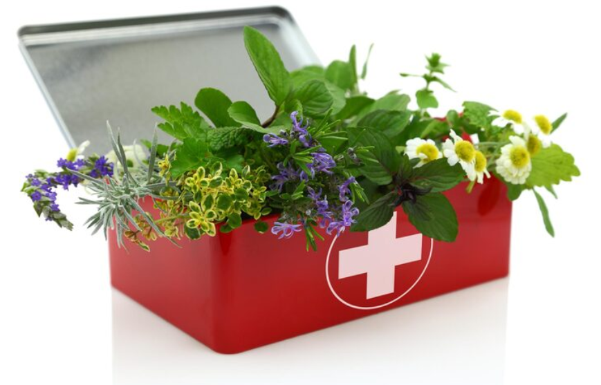 Herbal First Aid